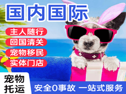 济南遥墙机场空运国际宠物托运 【国